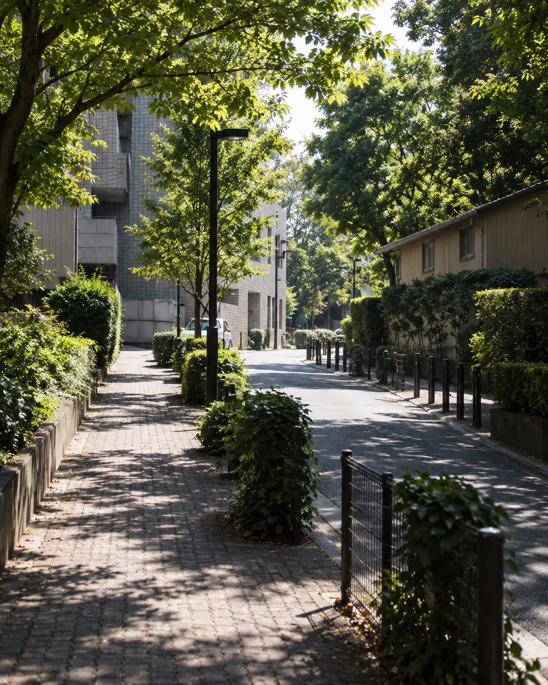 A tree-lined lane in Azabu on a bright morning, sunlight through the leaves onto a paved footpath and clipped hedges